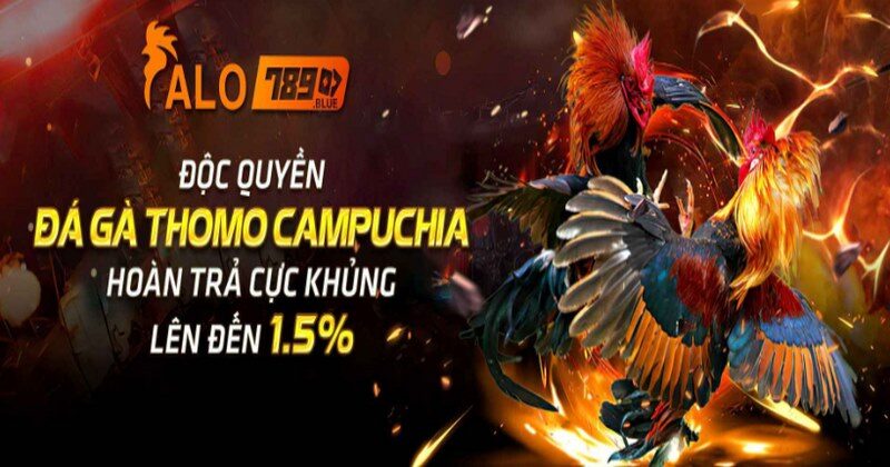 Lợi ích khi sử dụng Alo789.net